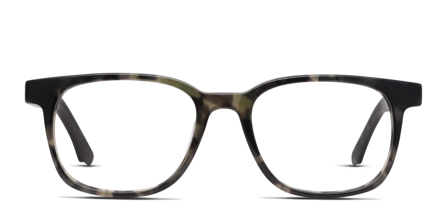 The Western Pond Tortoise, Green, Black