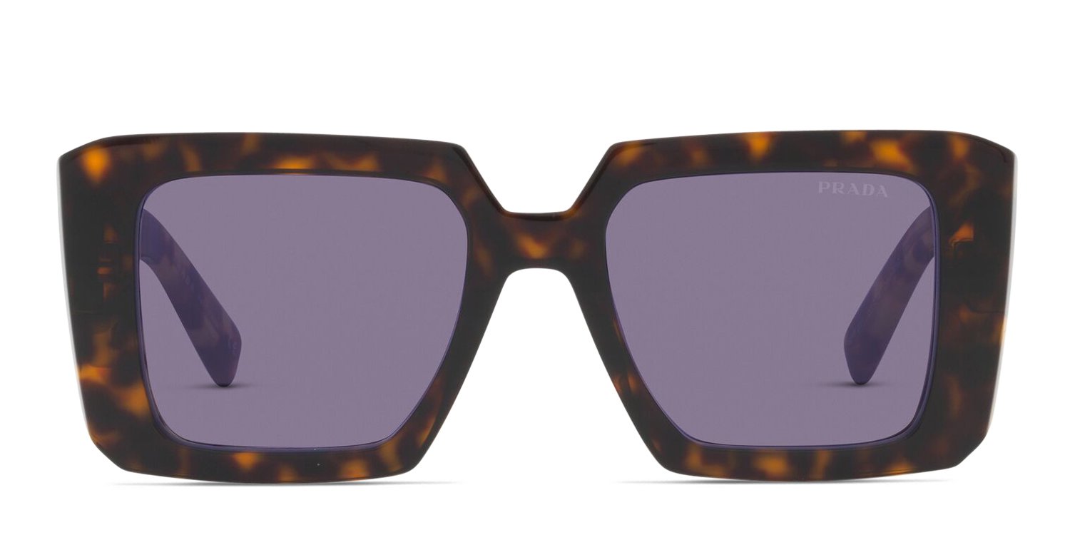 pr 23ys 2au06b tortoise